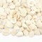 Small Sea Shells White Small Tiny Sea Shells Clam Shells Bulk Natural Scallop Shells for Home Decor Beach Theme Party Fish Tank Vase Filler